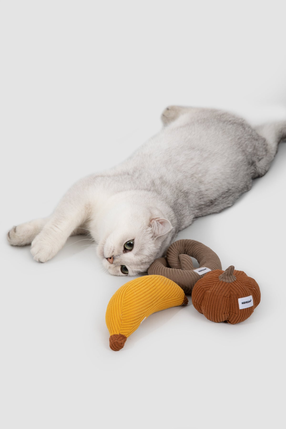 猫用アイテム