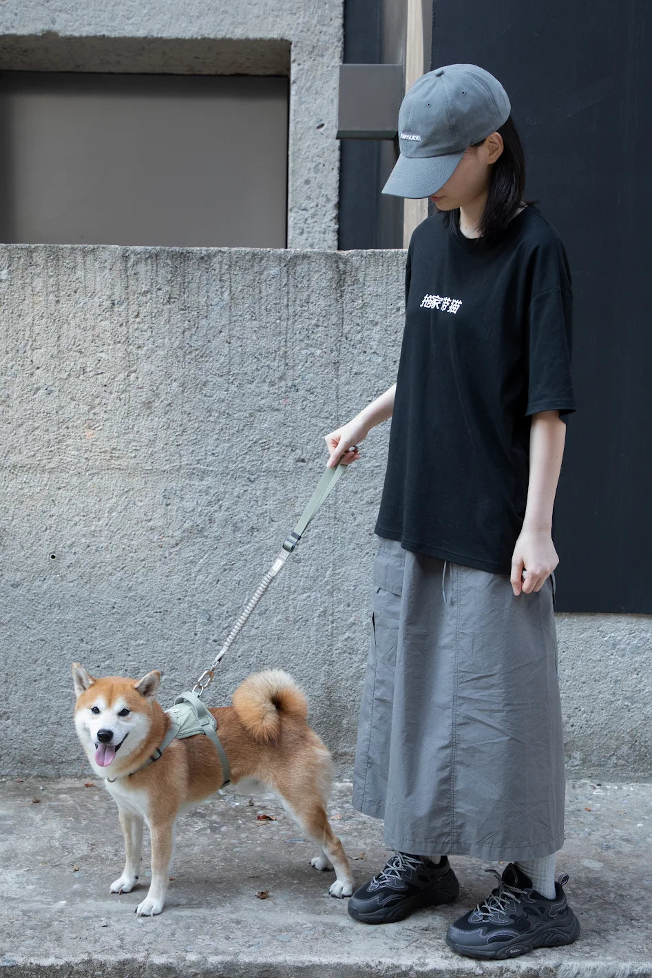 お散歩