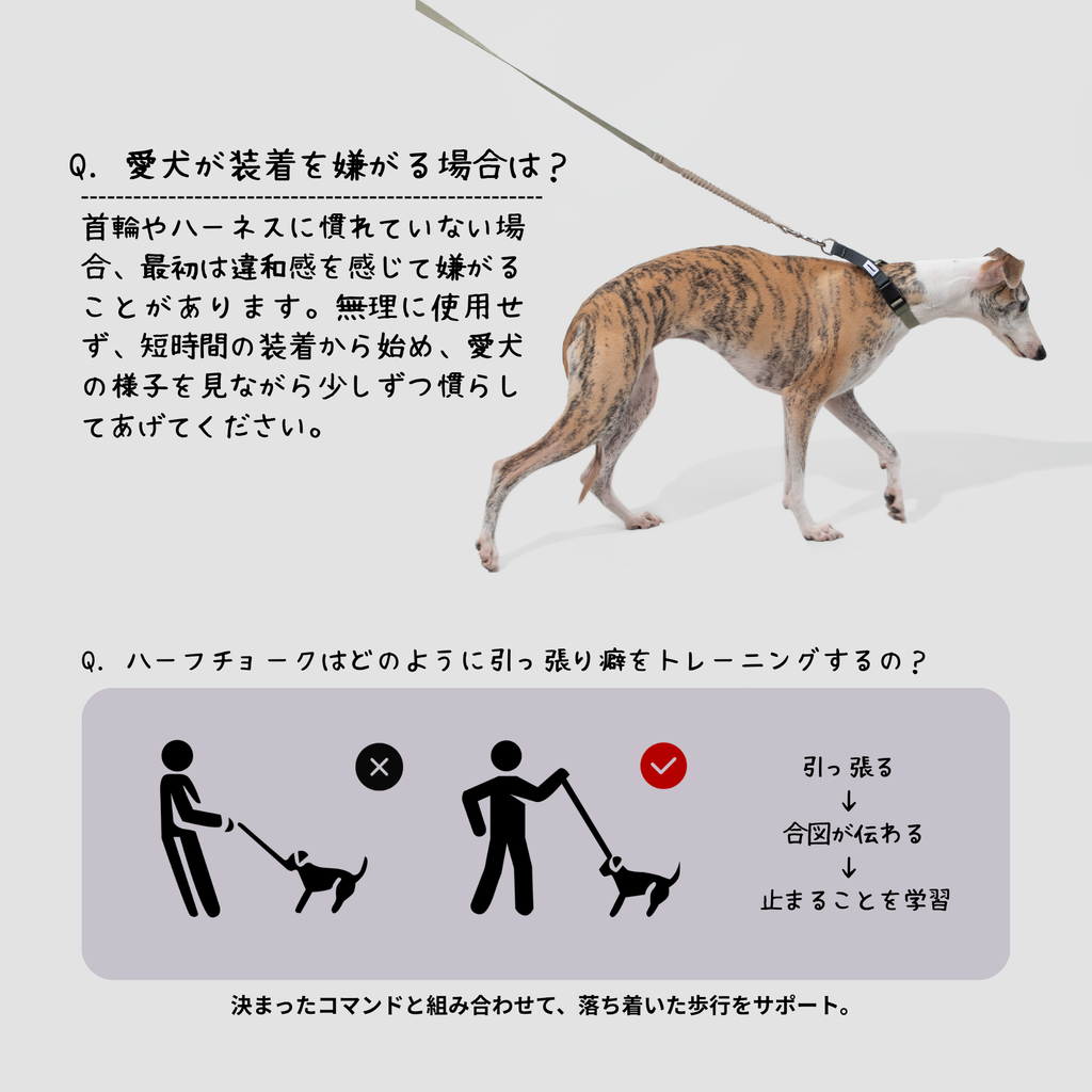 引っ張り防止ハーフチョークカラー