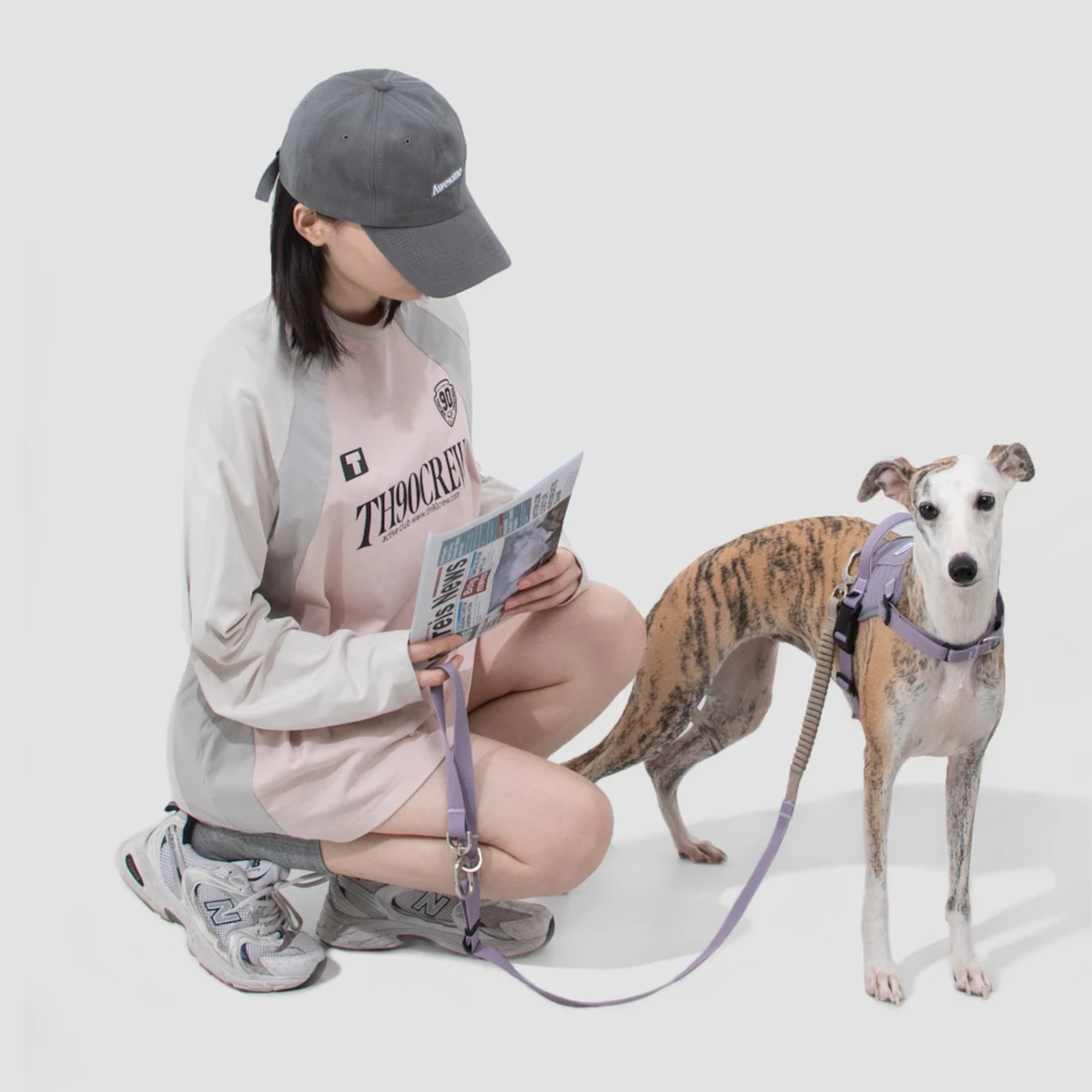 犬用 ショック吸収リード