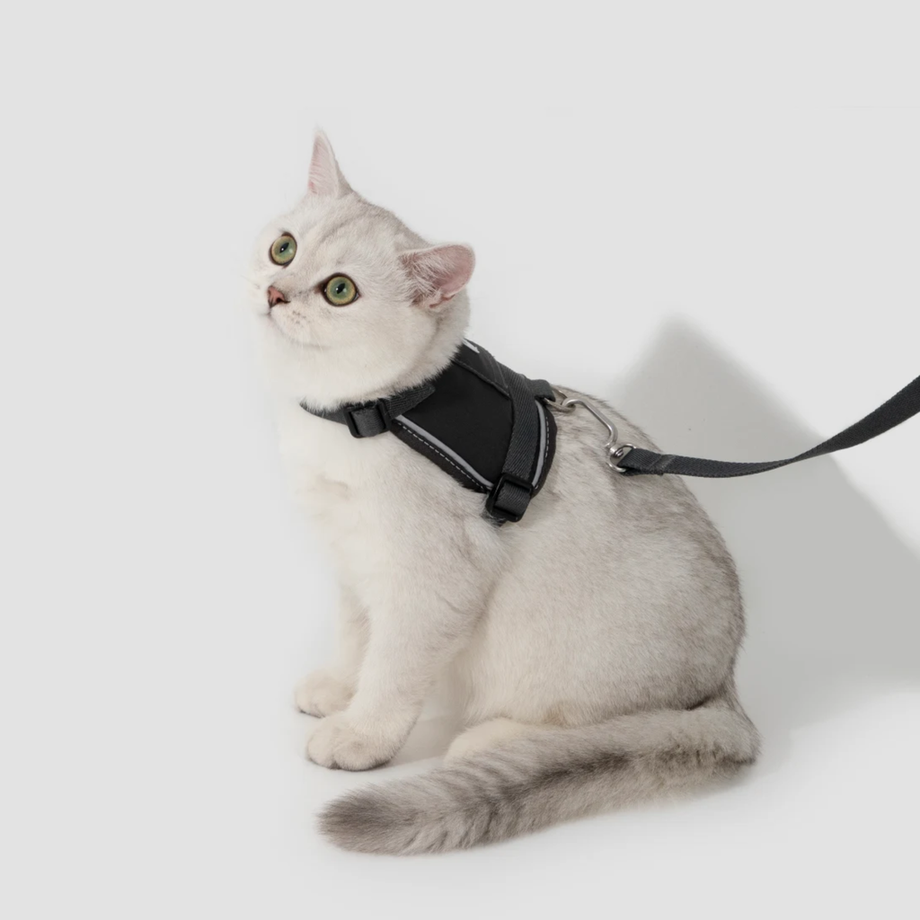 猫用ベスト型ハーネス＆リード