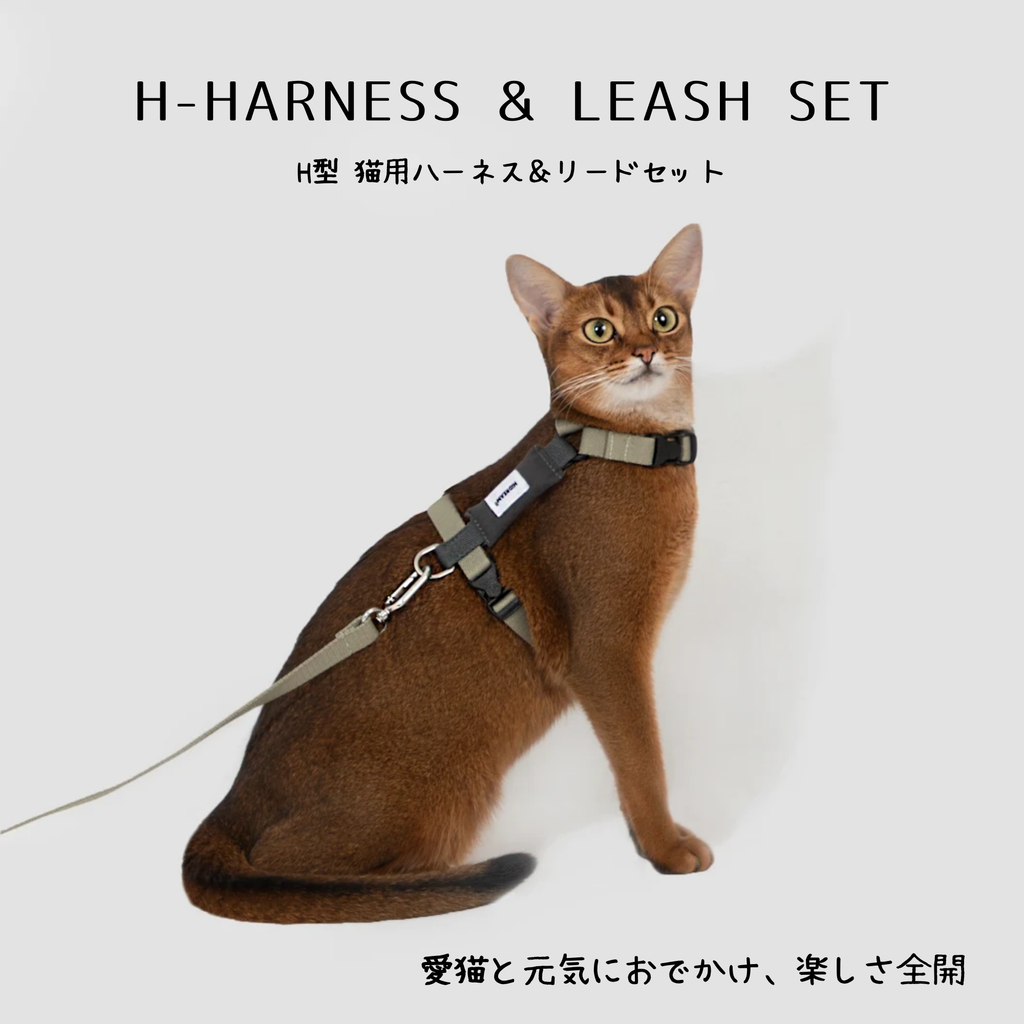 H型 猫用ハーネス＆リードセット