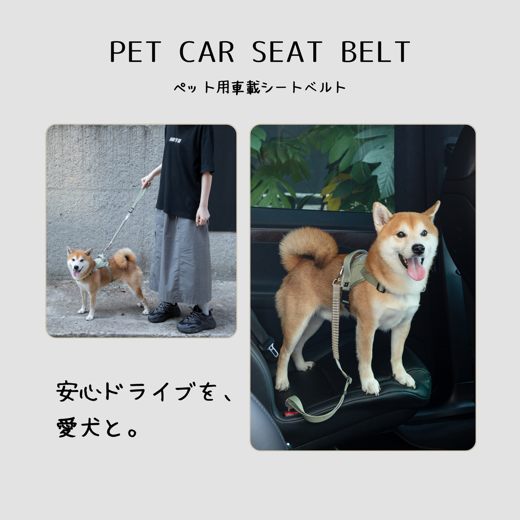 ペット用車載シートベルト