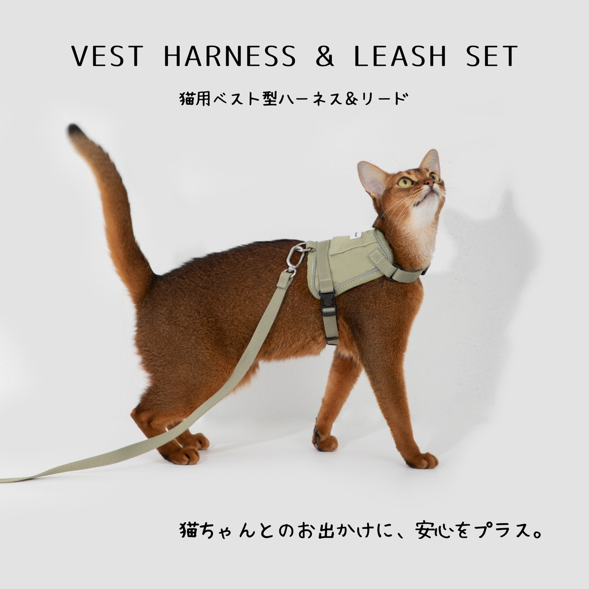猫用ベスト型ハーネス＆リード