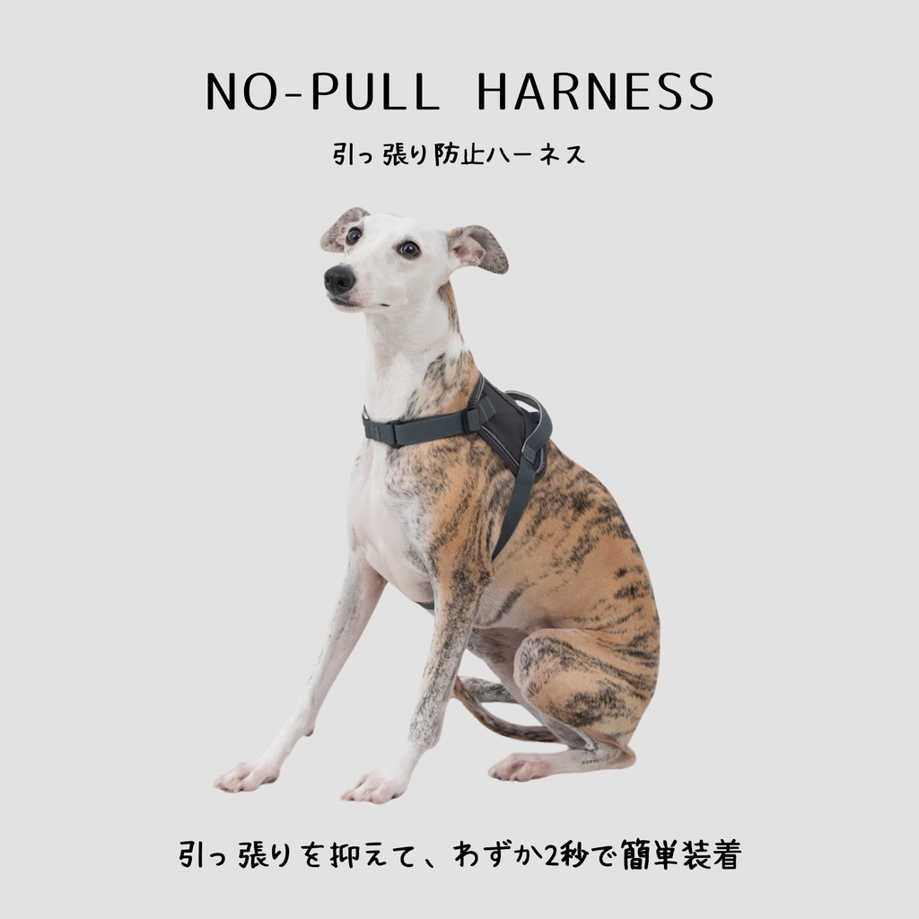 引っ張り防止 ハーネス