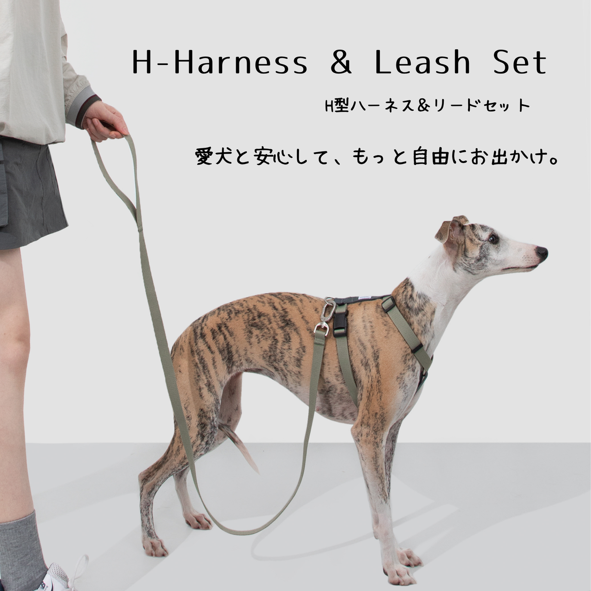 H型ハーネス＆リードセット