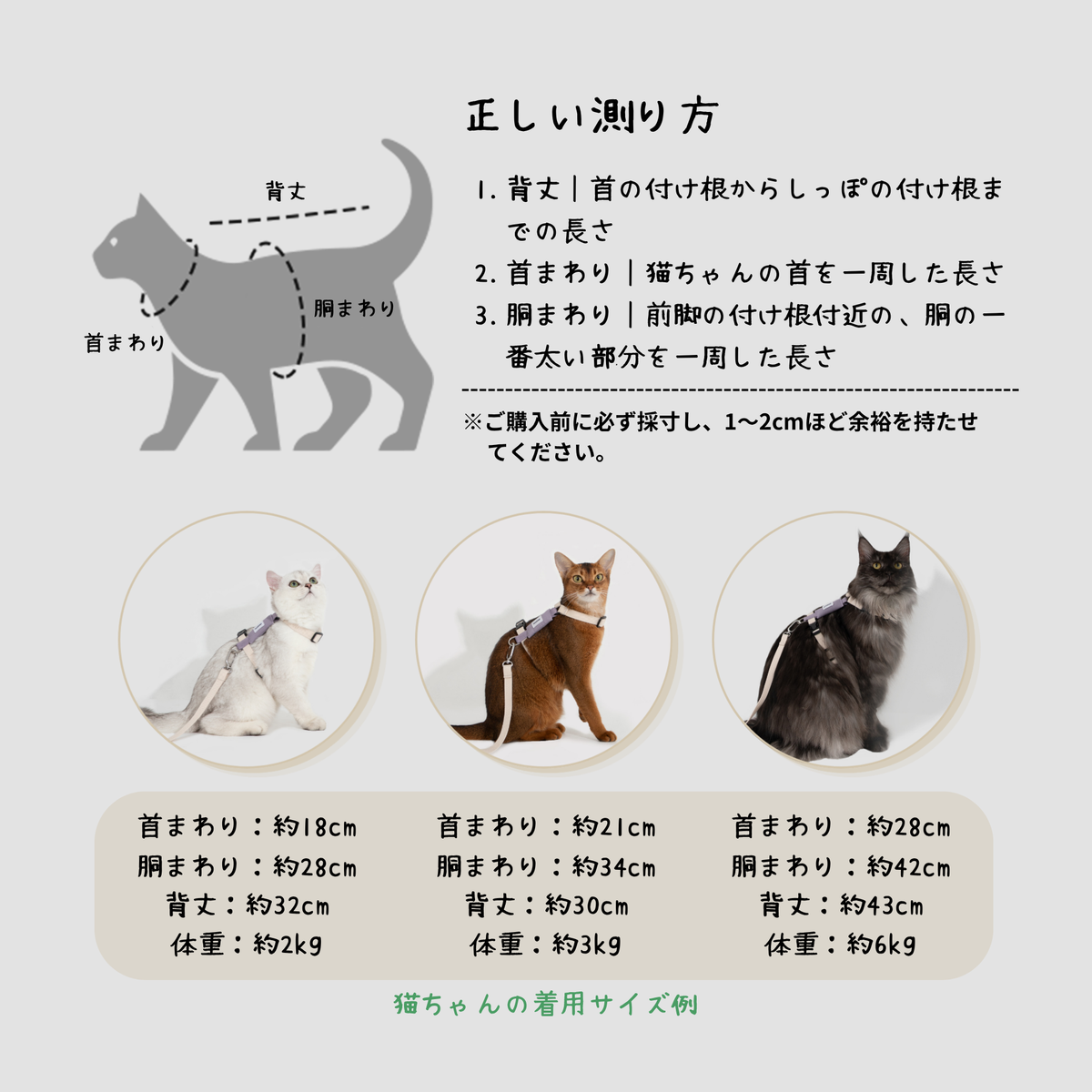 H型 猫用ハーネス＆リードセット
