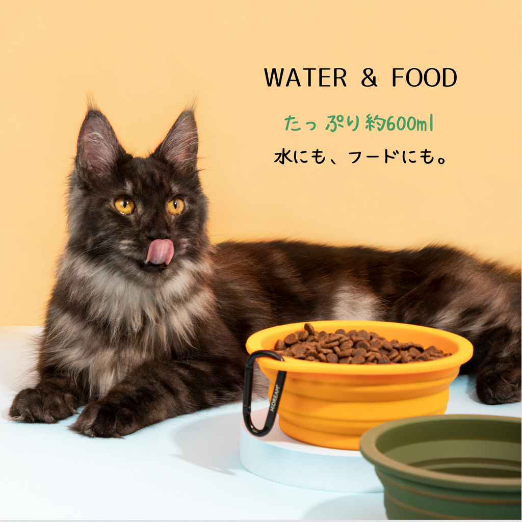 シリコン折りたたみボウル