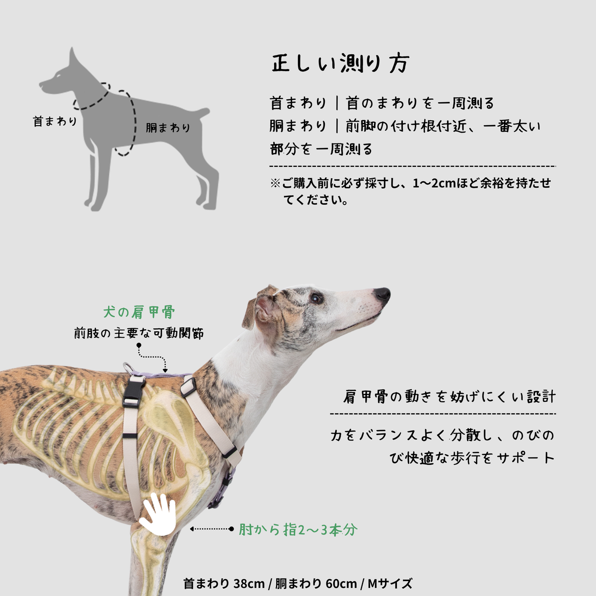 H型ハーネス＆リードセット