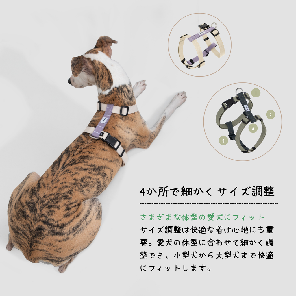 H型ハーネス＆リードセット