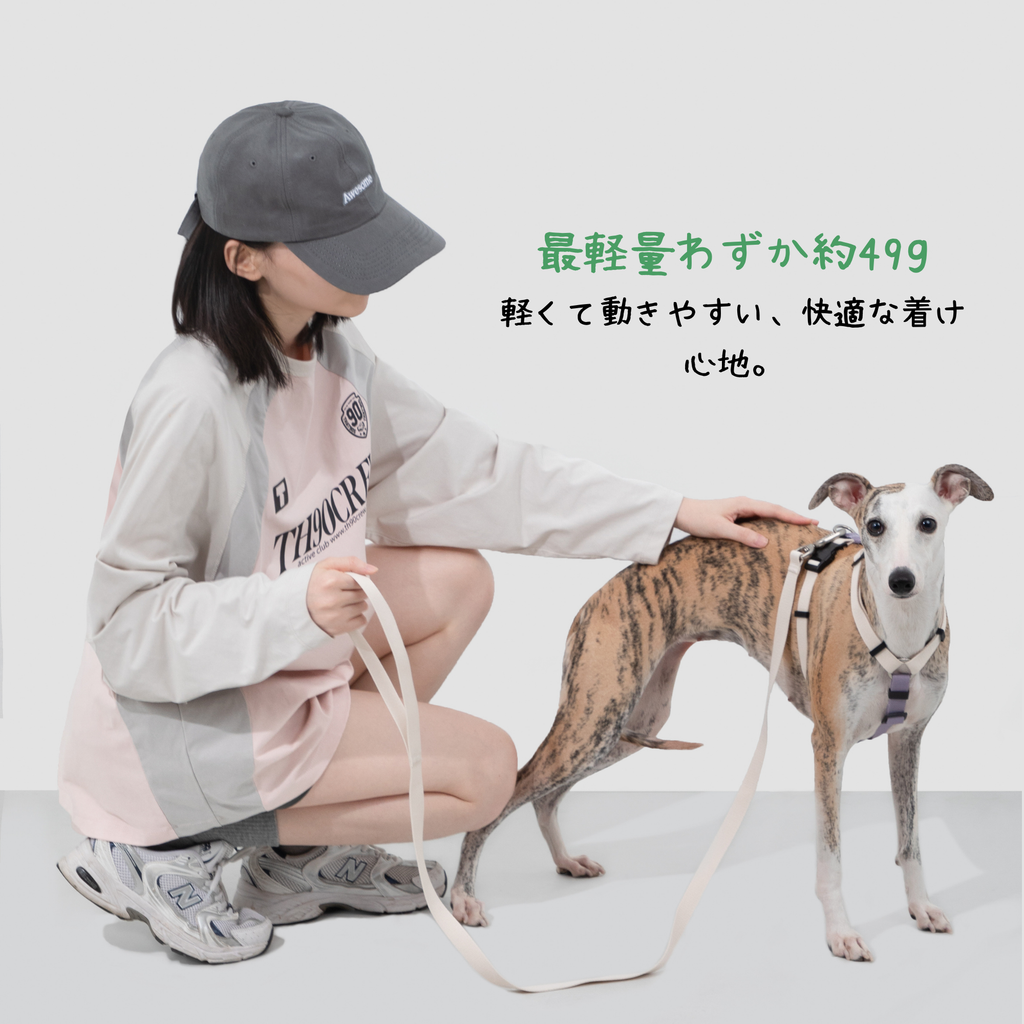 H型ハーネス＆リードセット