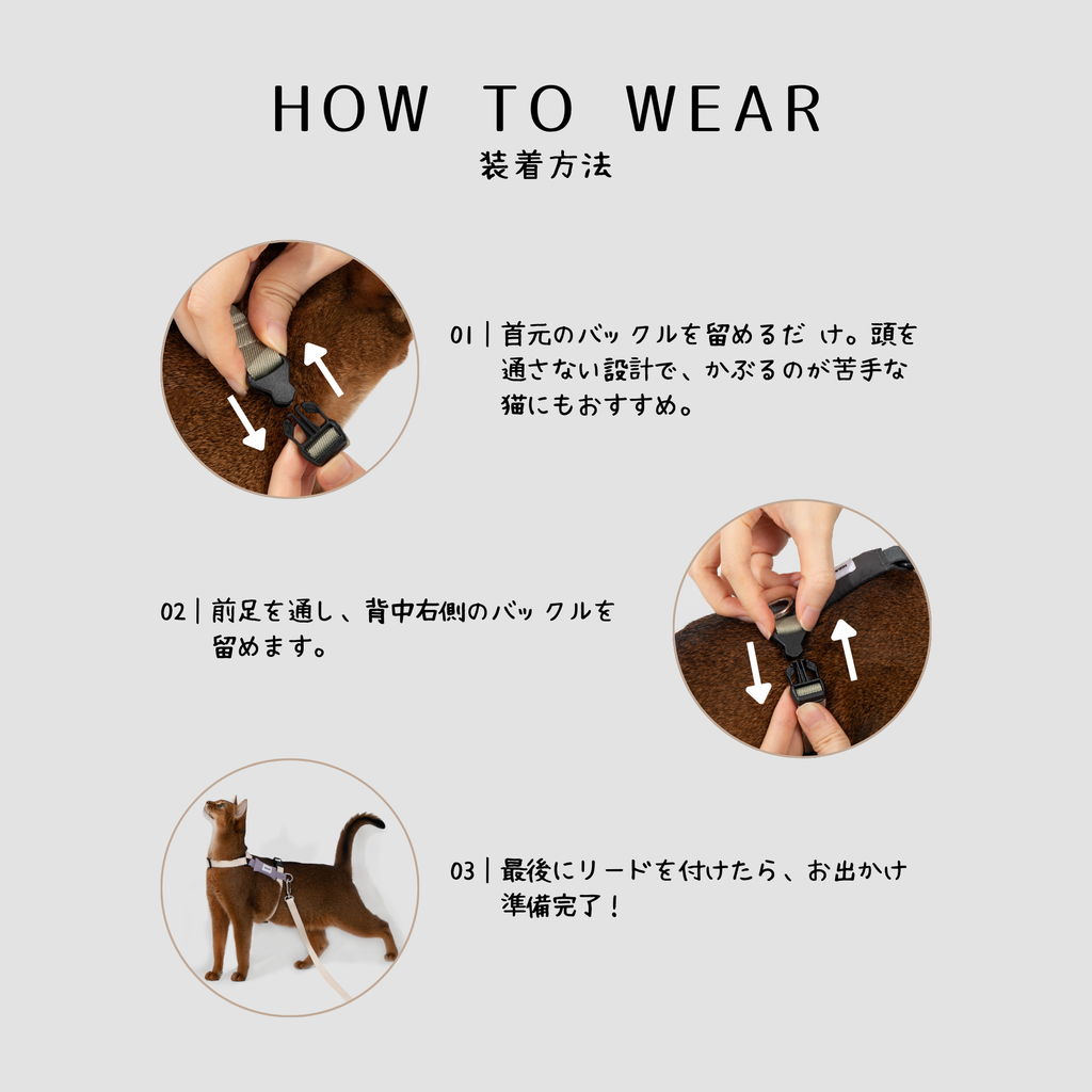 H型 猫用ハーネス＆リードセット