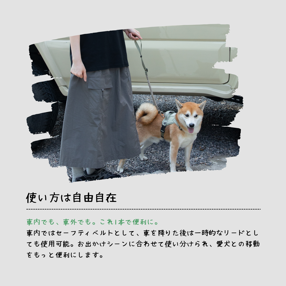 ペット用車載シートベルト