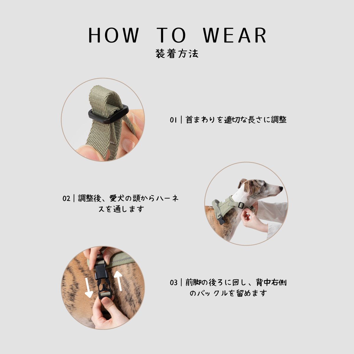 引っ張り防止 ハーネス