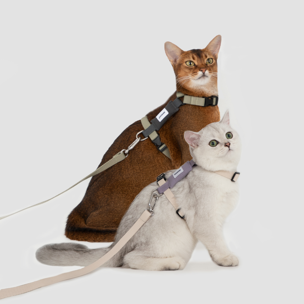 H型 猫用ハーネス＆リードセット